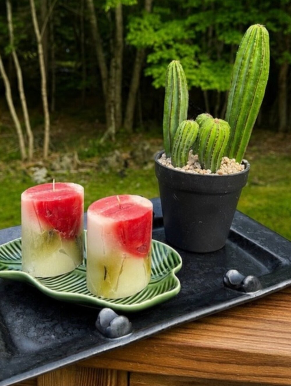 Nature-Inspired Candle & Cactus Vignette